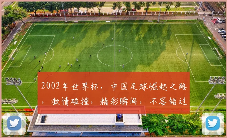 2002年世界杯，中国足球崛起之路，激情碰撞，精彩瞬间，不容错过，共鉴辉煌。
